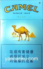 骆驼（蓝新版）图片